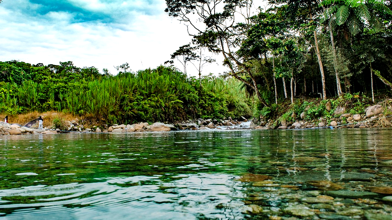 Brazilian culture and landscape detail